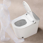 Sanyipace Smart Toilet Seat and Bidet 1000 Gram MaP Flush Score ADA Comfort Height Auto Flush Warm Water Heated Seat Toilet One Piece Elongated Toilet with Tank Toilet
