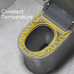 Sanitary Ware Grey Ceramic Intelligent Toilet Bathroom Automatic Wc Commode Smart Toilet for Hotel Bathroom
