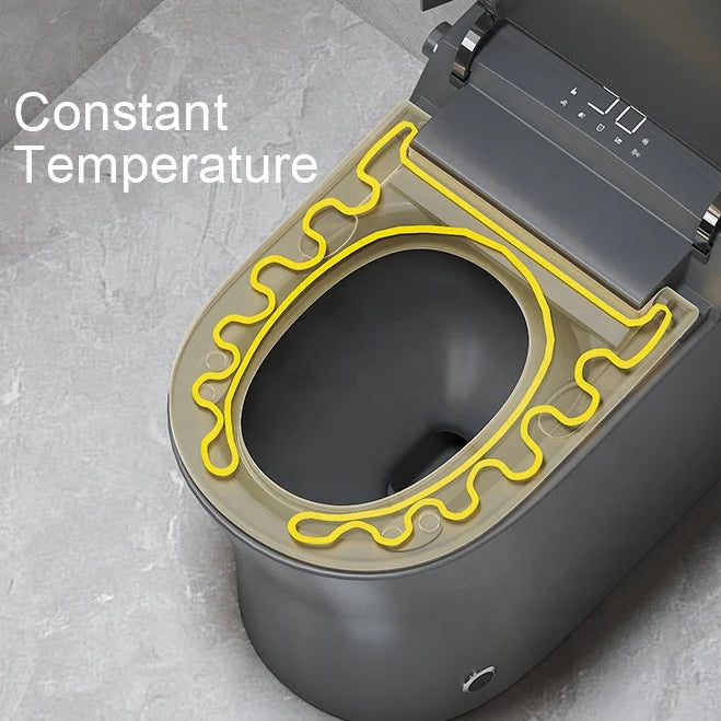 Sanitary Ware Grey Ceramic Intelligent Toilet Bathroom Automatic Wc Commode Smart Toilet for Hotel Bathroom