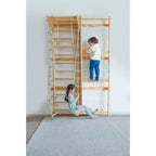 All-in-One Ladder Wall Gym with Cargo Climber, Swing, Rope Ladder, Pull-Up Bar, and Slide - Suitable for Adults and Kids (79)