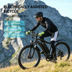Toofly G73 Electric Bike Adults Electric Bicycle Peak 740W 48V 13AH e bike 26" Fat Tire Mountain Bike 25mph Electric Dirt Bike