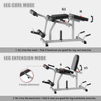 Sturdy Iron 2 - in - 1 Adjustable Leg Machine in Blue for Home Gym: Easy Transition, 660LBS Weight Capacity