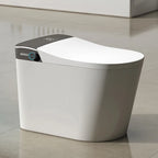 Sanitary Ware Grey Ceramic Intelligent Toilet Bathroom Automatic Wc Commode Smart Toilet for Hotel Bathroom