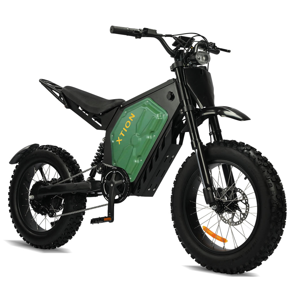 Xtion Electric Mountain Bike for Adults, 3000W E-bike , 45 MPH & 60 Miles Range, 60V 25AH Removable Battery Dual Shock E Bike