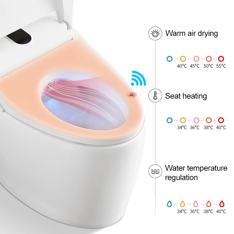 Western Matte Black Color One Piece Ceramic Modern Bathroom Electric Bidet Automatic Smart Wc Intelligent Toilet