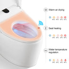 Western Matte Black Color One Piece Ceramic Modern Bathroom Electric Bidet Automatic Smart Wc Intelligent Toilet