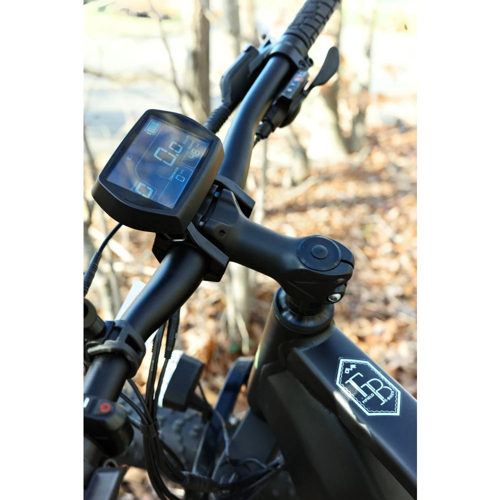 Ye Fat hs fat tire electric bike high performance off road electric bicycle all terrain long range battery adult e bike for mountain snow beach cycling durable powerful ebike