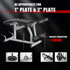 Sturdy Iron 2 - in - 1 Adjustable Leg Machine in Blue for Home Gym: Easy Transition, 660LBS Weight Capacity