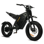 Xtion Electric Mountain Bike for Adults, 3000W E-bike , 45 MPH & 60 Miles Range, 60V 25AH Removable Battery Dual Shock E Bike