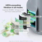 Compact Air Purifier for Bedroom, with Real-Time Air Quality Display, Captures Pet Dander, Dust, Smoke, Odor, for Home Office