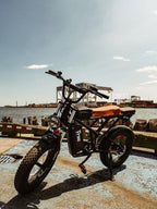 Freego 1400W Electric Bike 48V/22.5Ah Ebike 20  x 4.0 Fat Tires Electric Bicycle Removable Battery 34MPH & 43 Miles Long Range