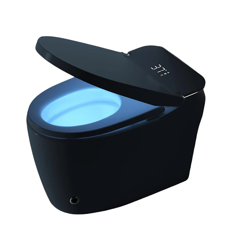 8825S Dayao Ceramic Smart Toilet Remote Control Heated Seat Elongated Bowl Air Drying One Piece Design S-trap Floor Mounted